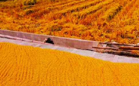 �����ջ��ʫ�䣨ͨ��125�䣩