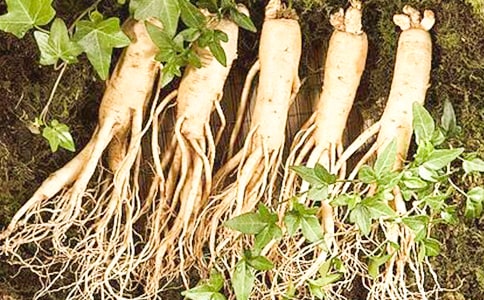 ��͵���˲ι��������