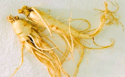 ͵���˲ι������11ƪ