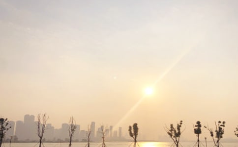 �ճ�С��������600��