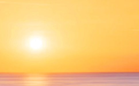 ����ƻ��Ψ������