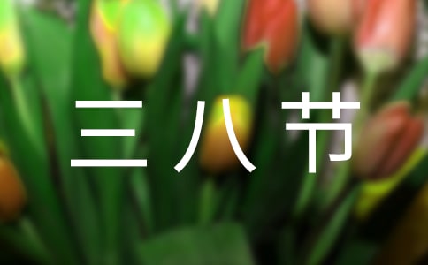 三八节幼儿园活动方案(集合15篇)