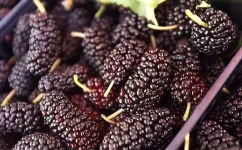 ����ժɣ�ص�˵˵ ժɣ������Ȧ˵˵