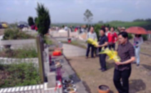 ����ɨĹ����300����ƪ