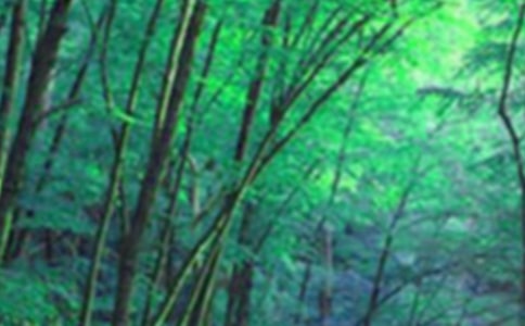 森林生态旅游与康养专业是干什么的