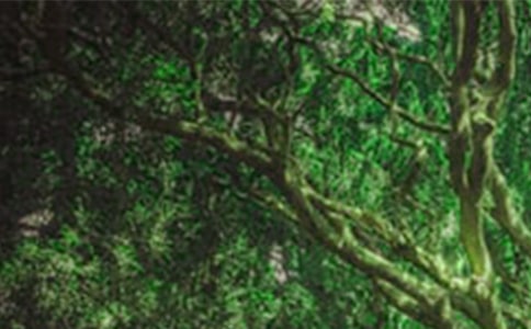 2022ɭ�ַ������ķ�������ѡ24ƪ��