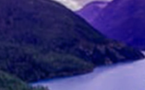 描写山水田园的诗句大全