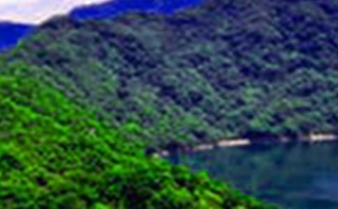 ��дɽˮ���Ĺ�ʫ40��