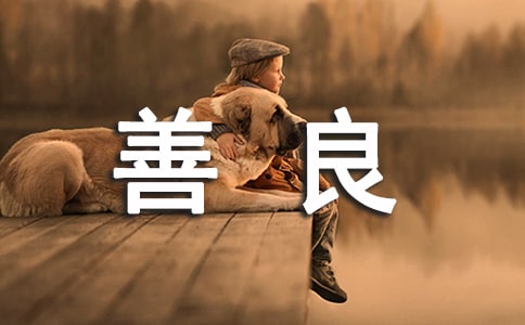 关于善良的句子