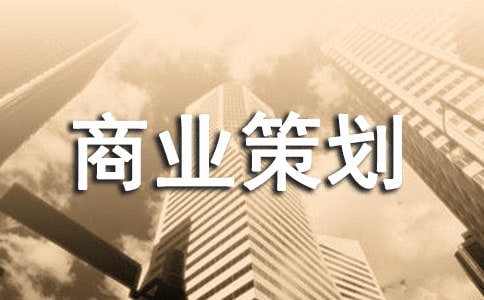 电商商业策划书