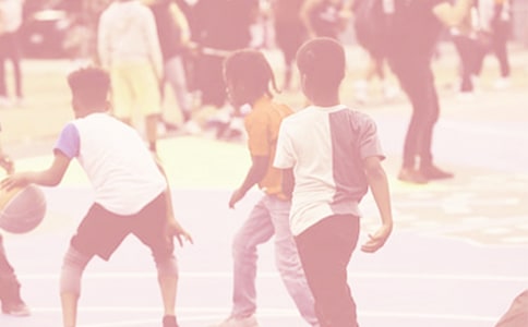 ����Т������ڰ屨����