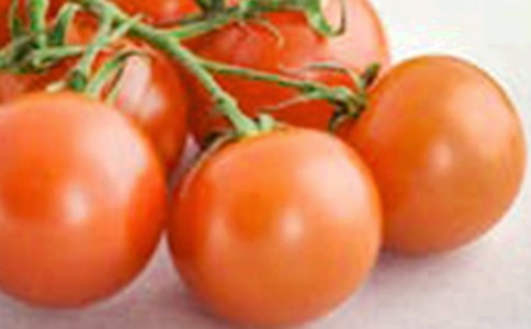 ʥŮ�������Ի�������