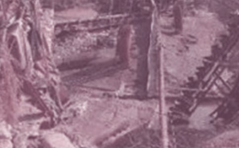 2019年西安石油大学最新排名,西安石油大学全国排名第299名