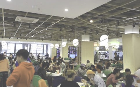 食堂自查自纠报告