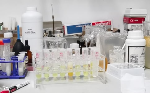 ʵ���Ұ�ȫ������[����15ƪ]