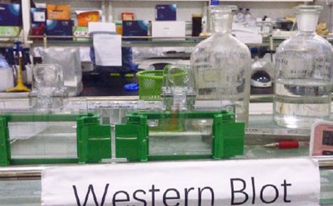 中学实验室自查报告