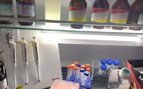 实验室标语15篇