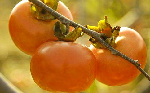 �������������300�֡���ѡ��