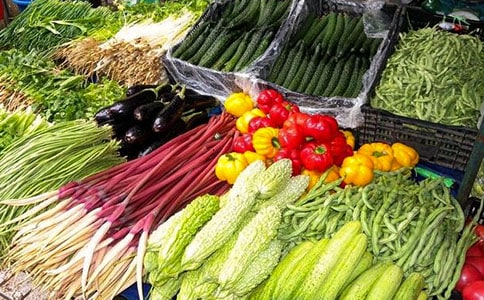 �߲˻��������ѡ20ƪ��