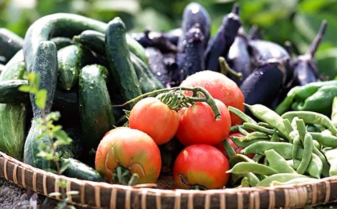 d开头的英文单词蔬菜和水果