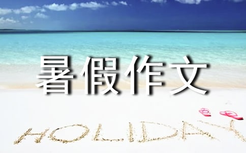 暑假作文300字必备【4篇】