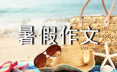 ����ѡ���������300��41ƪ