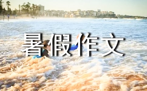 四年级的的暑假作文300字10篇