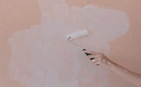 �ٶ���ʿ����ˢǽ�����Ʒ2ƪ��