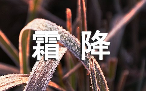 霜降的句子(通用550句)