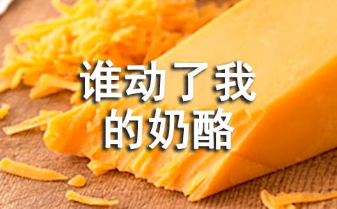 谁动了我的奶酪读后感15篇