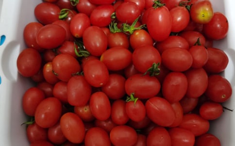 水果促销活动方案11篇