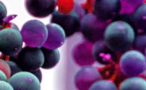 所有水果的英文怎么写