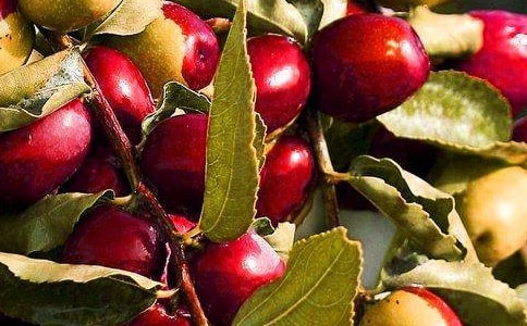 ˮ��ƴ�̴����߻�����