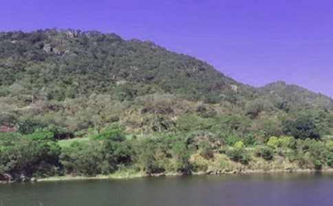 ˮ������ֵ����������