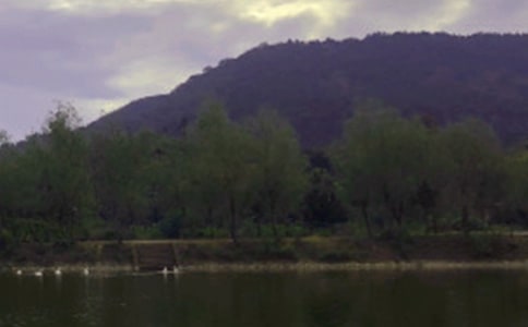 ���ر���ˮ�������300��4ƪ