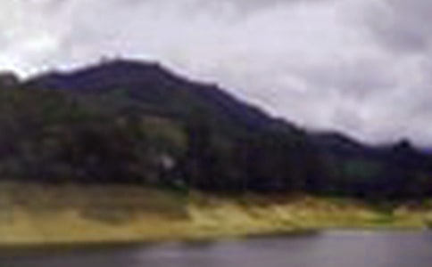 �ι�ˮ���ʵϰ�����ܽ�