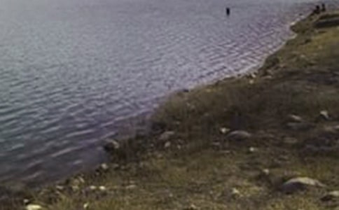 【实用】水库的作文300字4篇