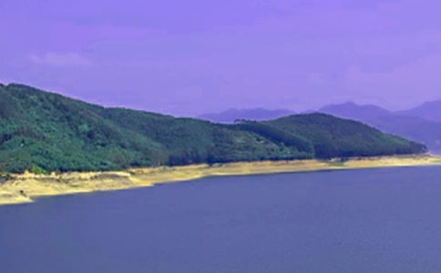 水库的作文300字