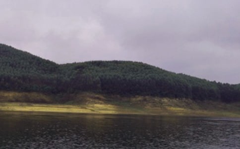 ʵ�õ�ˮ������300����ƪ