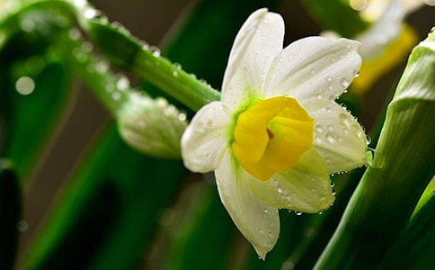 ��дˮ�ɵ�ʫ�䣨���ϣ�