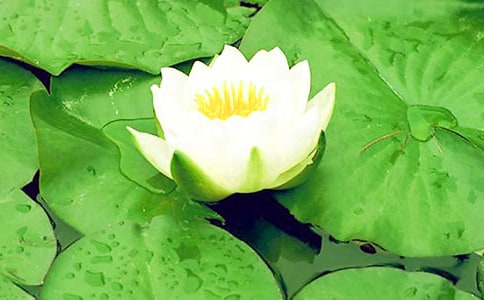 ��������˯���ľ���,��д����˯���ľ���