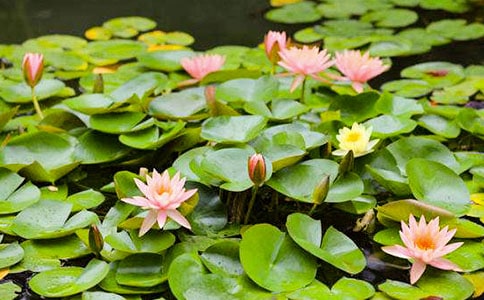 ��ѡ˯������300�ֺϼ���ƪ