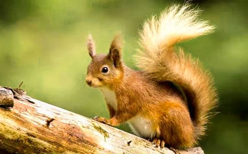 С��������300����ƪ