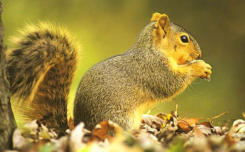 С��������300��