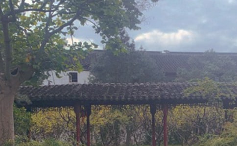 ����԰�����й�ʲô԰�ֵĴ���