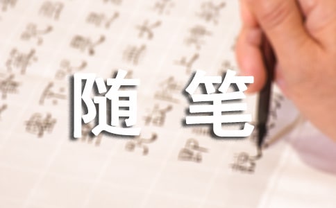 随笔作文300字精华(4篇)