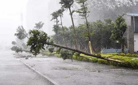 ��ʵ�á�̨�������300����ƪ