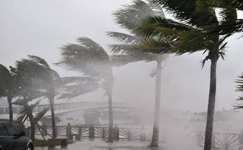 防台风紧急通知9篇