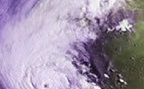 物业防台风通知