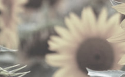 ��д̫�����ľ���7ƪ